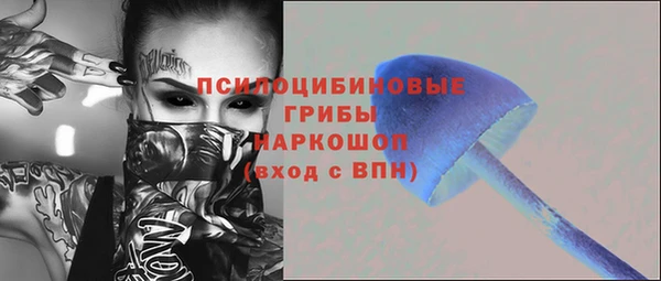 сатива Аша