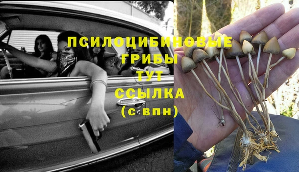 хмурый Белоозёрский